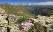 Monte Masoni e Cima Veinina - FOTOGALLERY